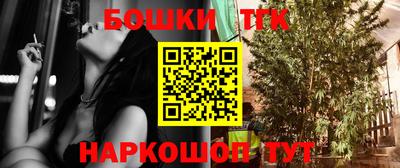 стаф Обь