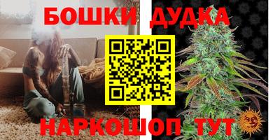 стаф Обь