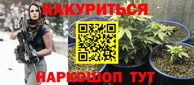 стаф Обь