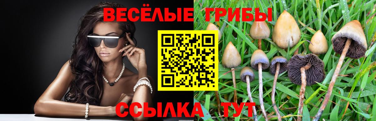 Псилоцибиновые грибы прущие грибы  Псилоцибиновые грибы Magic Shrooms  Вход с VPN  Новоалтайск 